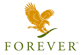 blocks_image